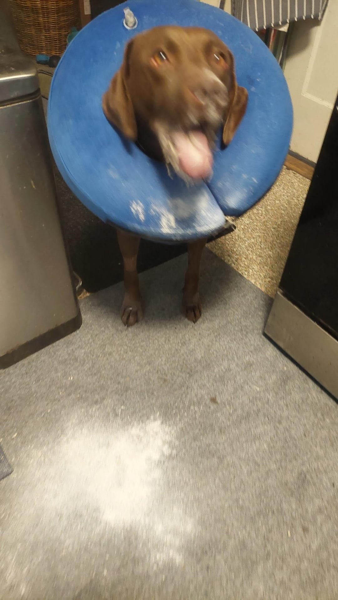 10.  Памагити!