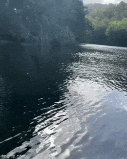 Просто гифки, всякие и&nbsp;разные