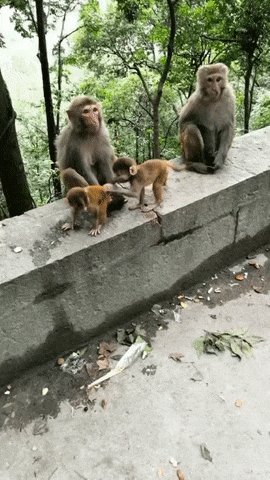 Просто гифки, всякие и&nbsp;разные