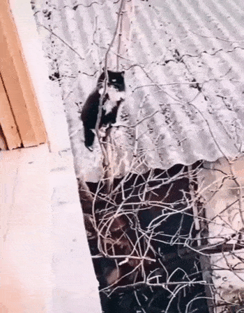 Просто гифки, всякие и&nbsp;разные