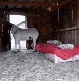 Просто гифки, всякие и&nbsp;разные