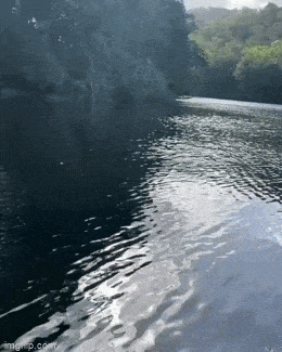 Просто гифки, всякие и&nbsp;разные