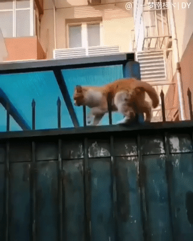 Просто гифки, всякие и&nbsp;разные