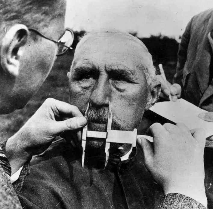 А давайте мерить черепа?