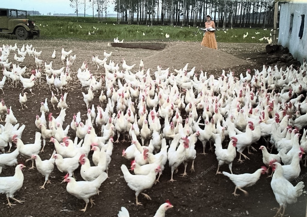 Подборка простых и потрясающих фотографий эпохи СССР