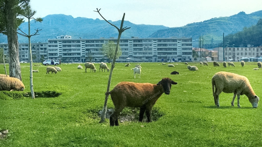 Подборка простых и потрясающих фотографий эпохи СССР