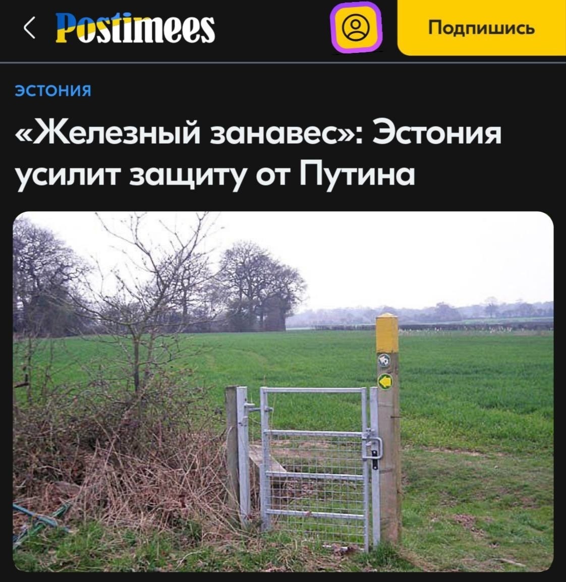 Политика и лишь малость не о ней