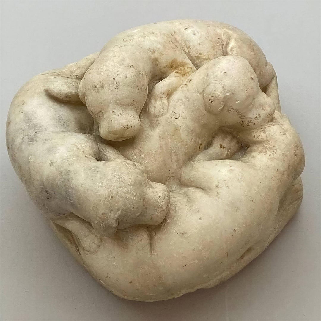 5. Римская мраморная скульптура, изображающая четырёх щенков, которые спят, свернувшись калачиком
