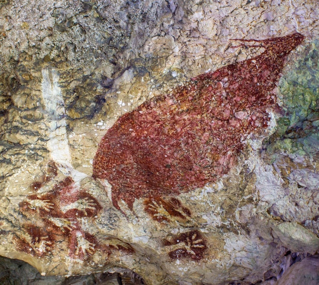 6. Наскальный рисунок аноа, которому 39 000 лет. Пещера Сумпанг Бита, Индонезия