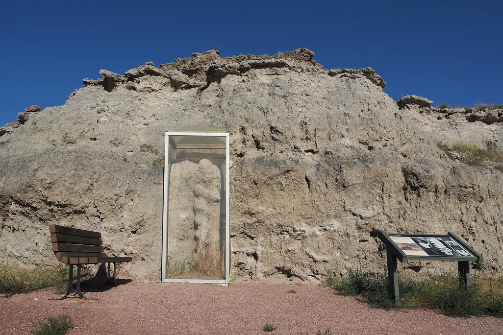 Чёртовы штопоры: тайна, которую миллионы лет скрывали недра Небраски