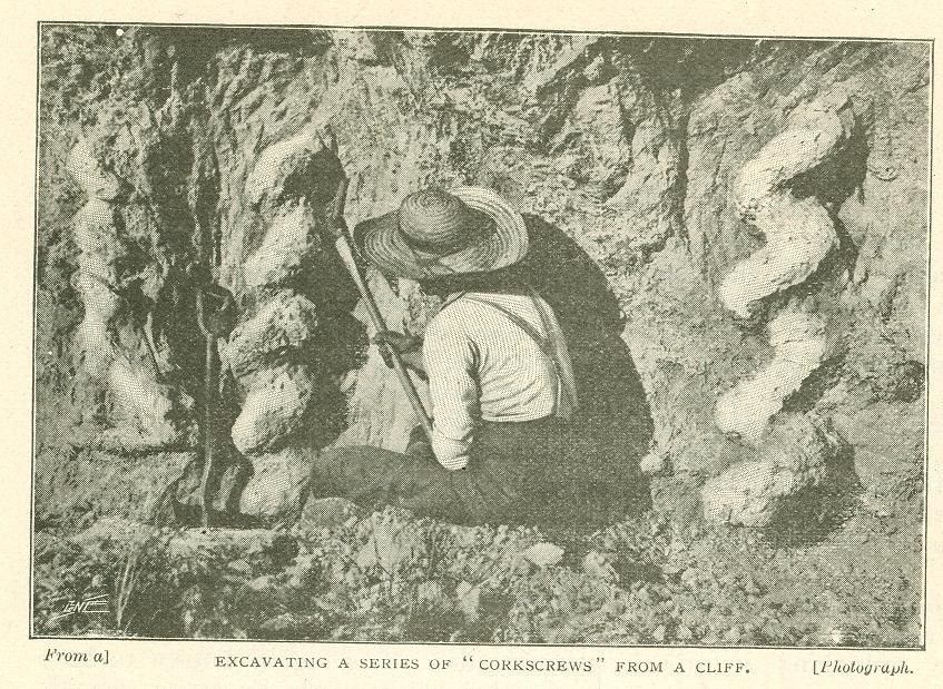 Чёртовы штопоры: тайна, которую миллионы лет скрывали недра Небраски