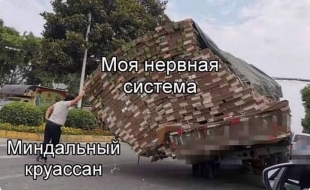 Скрины из соцсетей