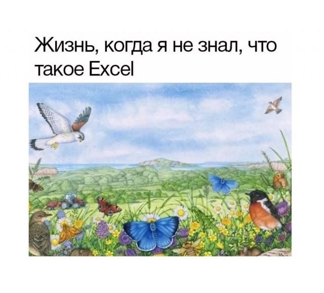 Скрины из соцсетей