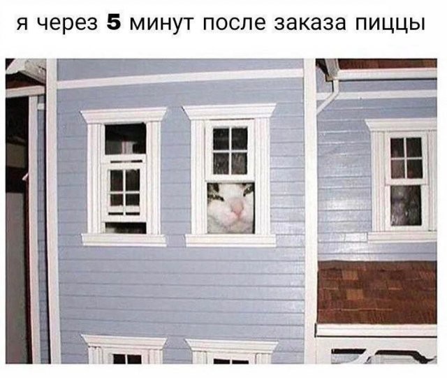 Скрины из соцсетей
