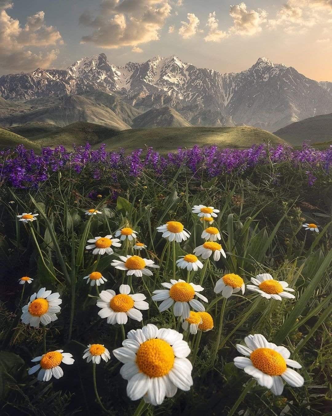 9. Лурестан, Иран