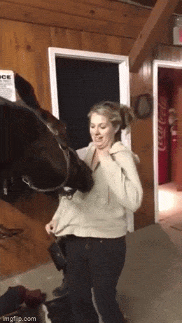 Просто гифки, всякие и&nbsp;разные