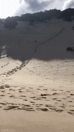 Просто гифки, всякие и&nbsp;разные