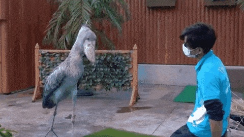 Просто гифки, всякие и&nbsp;разные