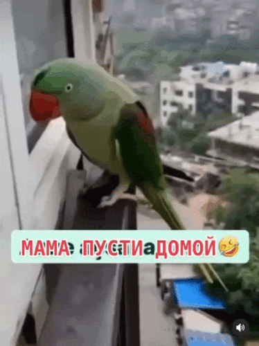 Просто гифки, всякие и&nbsp;разные