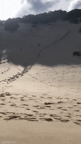 Просто гифки, всякие и&nbsp;разные