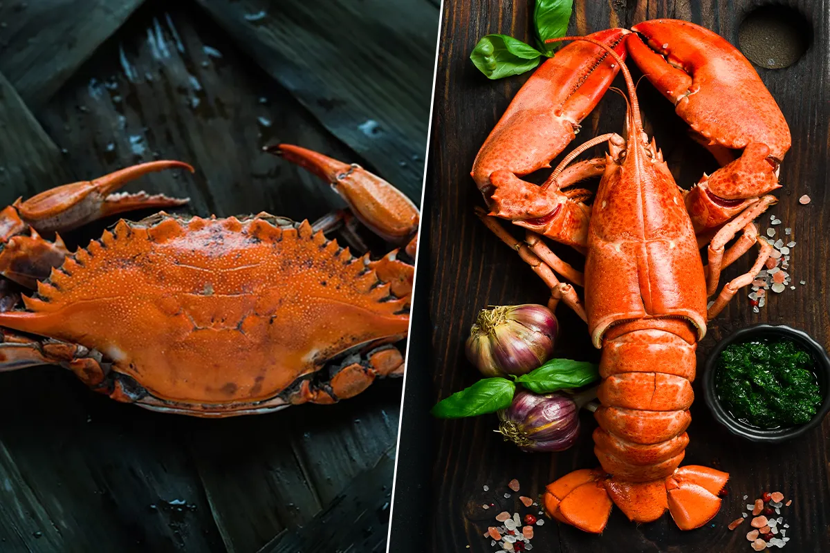 Лягушачий краб: существо между раком и крабом