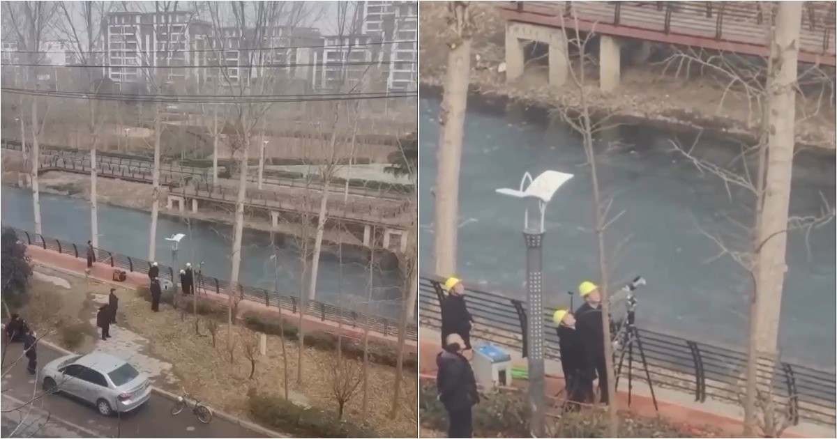 В Китае деревья теперь «стригут» лазерным лучом с дистанции