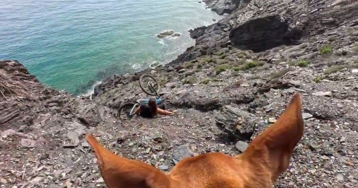 Падение велосипедистки, снятое с необычного ракурса