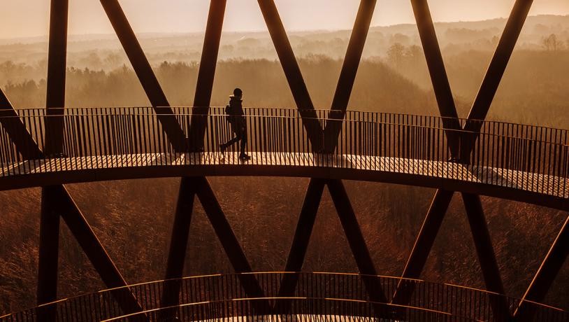 Датская лесная башня в форме песочных часов, парящих над деревьями