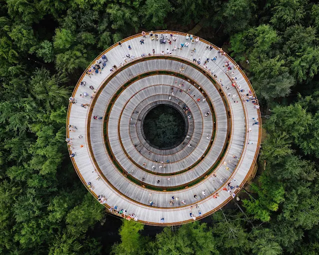 Датская лесная башня в форме песочных часов, парящих над деревьями