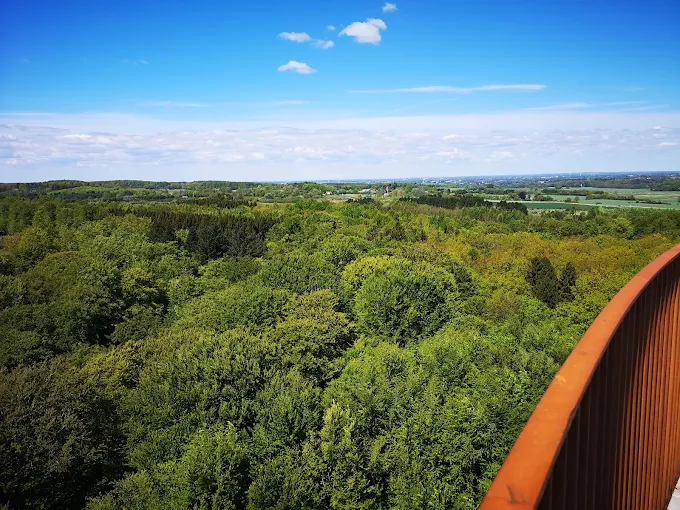 Датская лесная башня в форме песочных часов, парящих над деревьями