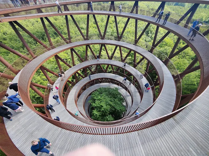 Датская лесная башня в форме песочных часов, парящих над деревьями