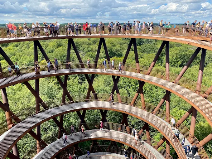 Датская лесная башня в форме песочных часов, парящих над деревьями