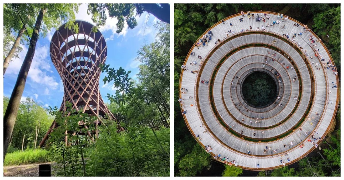 Датская лесная башня Сковторнет