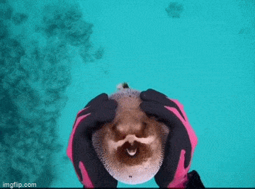 Просто гифки, всякие и&nbsp;разные