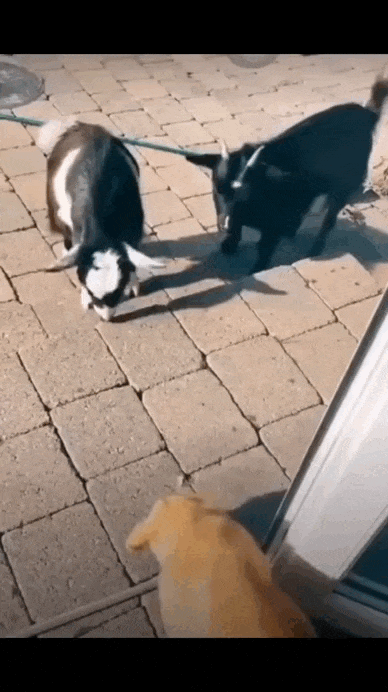 Просто гифки, всякие и&nbsp;разные