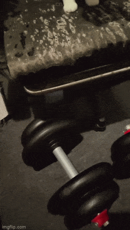 Просто гифки, всякие и&nbsp;разные