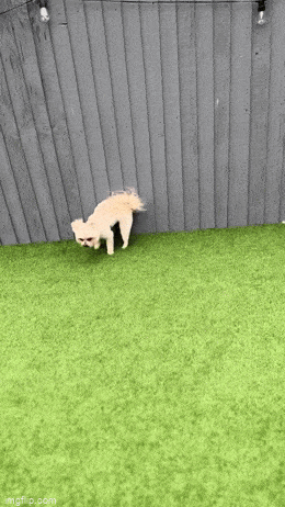 Просто гифки, всякие и&nbsp;разные