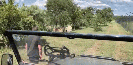 Просто гифки, всякие и&nbsp;разные