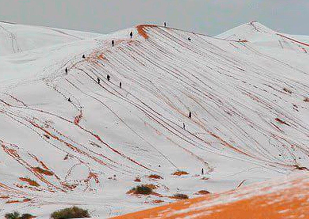 В пустыне Сахара выпал снег — это редчайшее явление для региона