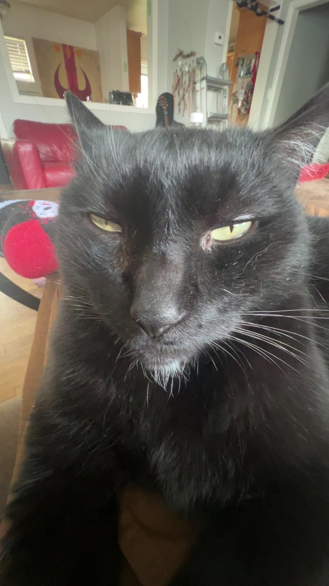 28. Когда полностью доволен собой