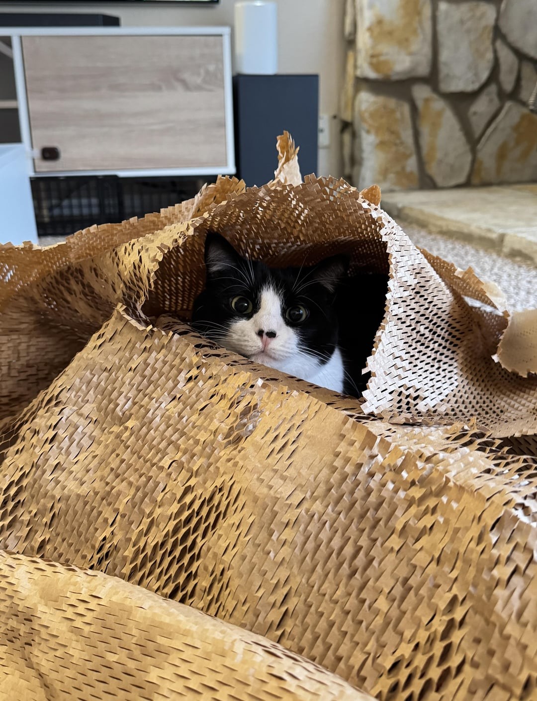 29. Сейчас случится чей-то прыг