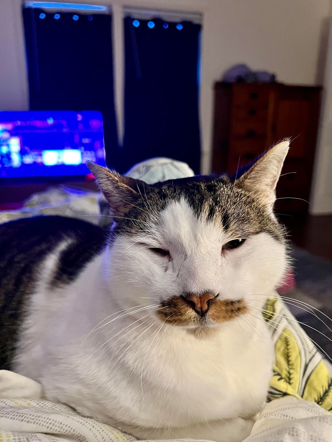 1. Спокойствие и презрение к миру