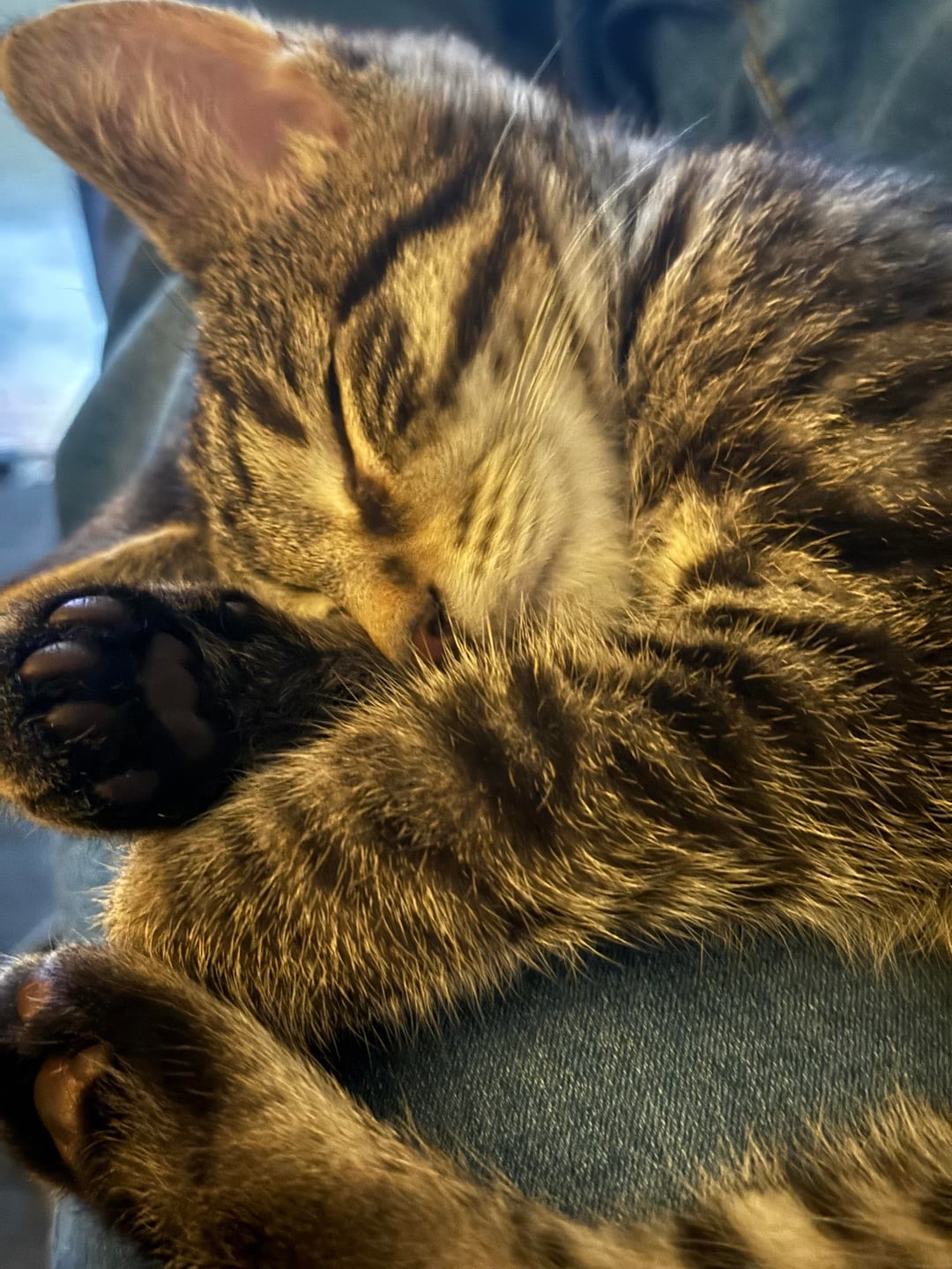 10. Полосатые сны