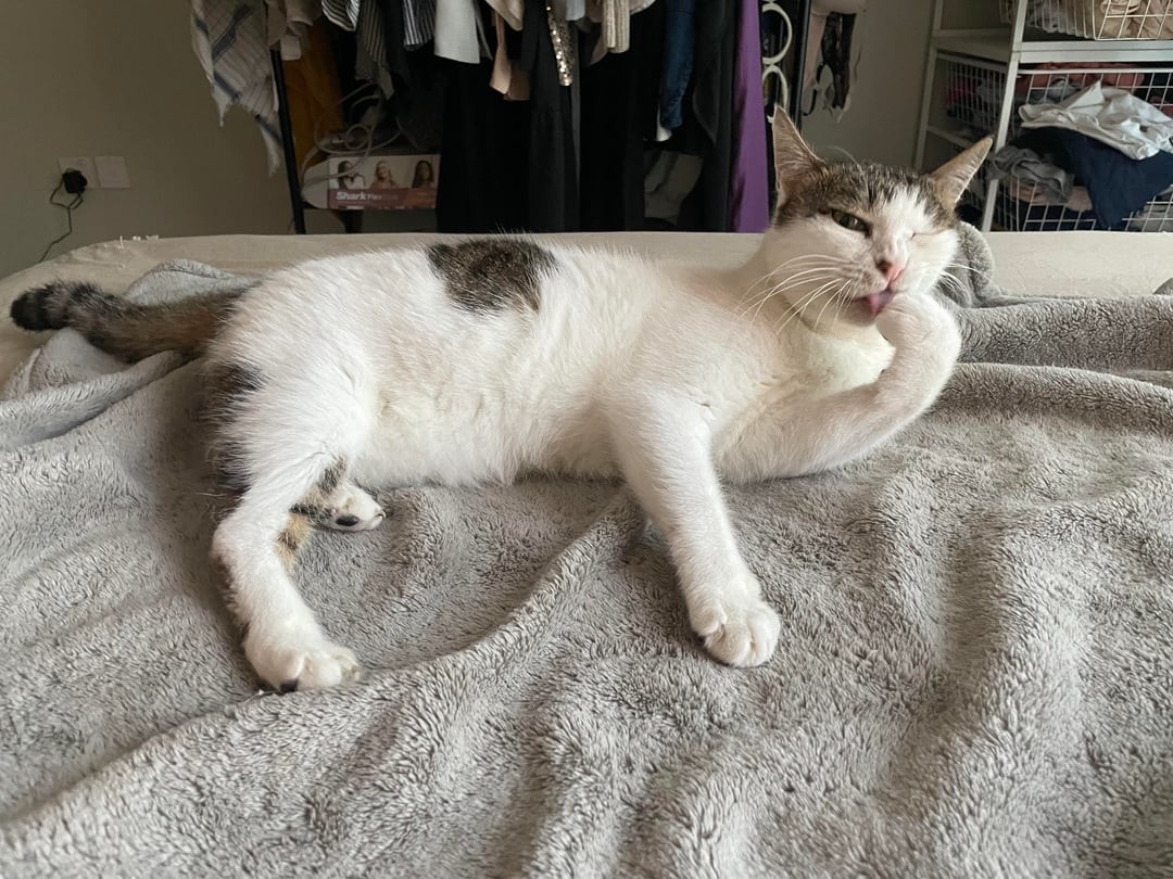 25. Надо, надо умываться по утрам и вечерам