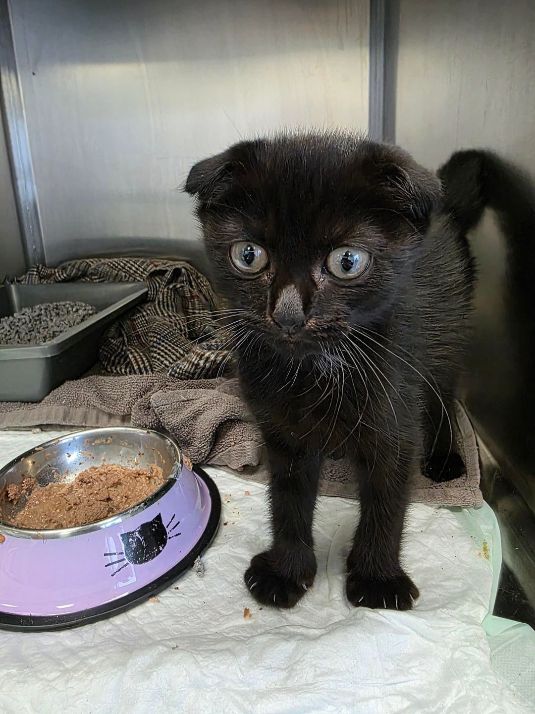 8. Немного сомнений и смятения