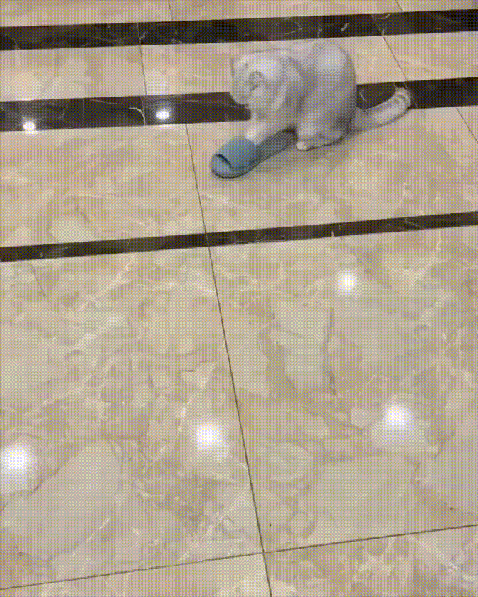 Просто гифки, всякие и&nbsp;разные