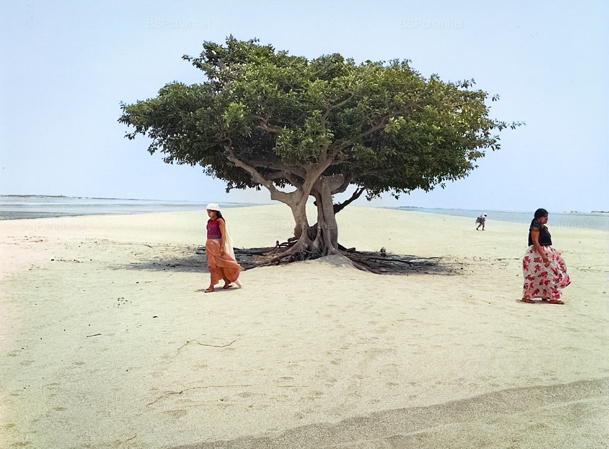 Необычные и интересные снимки из разных стран мира, сделанные в XX веке