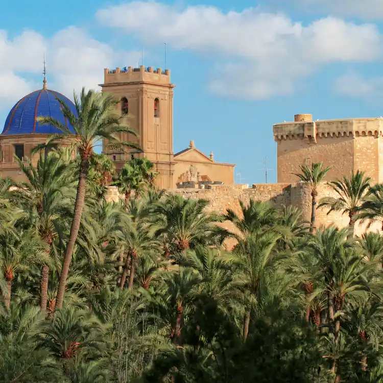 Пальмы в Эльче, вид сверху