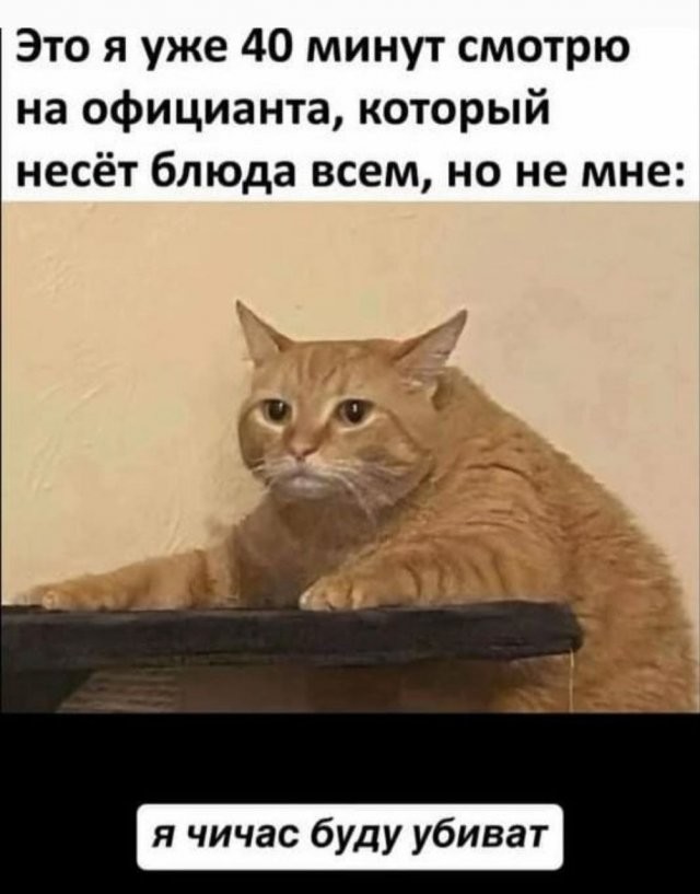 Скрины из соцсетей
