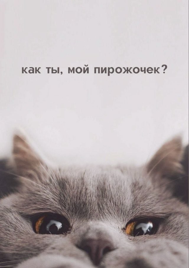 Скрины из соцсетей